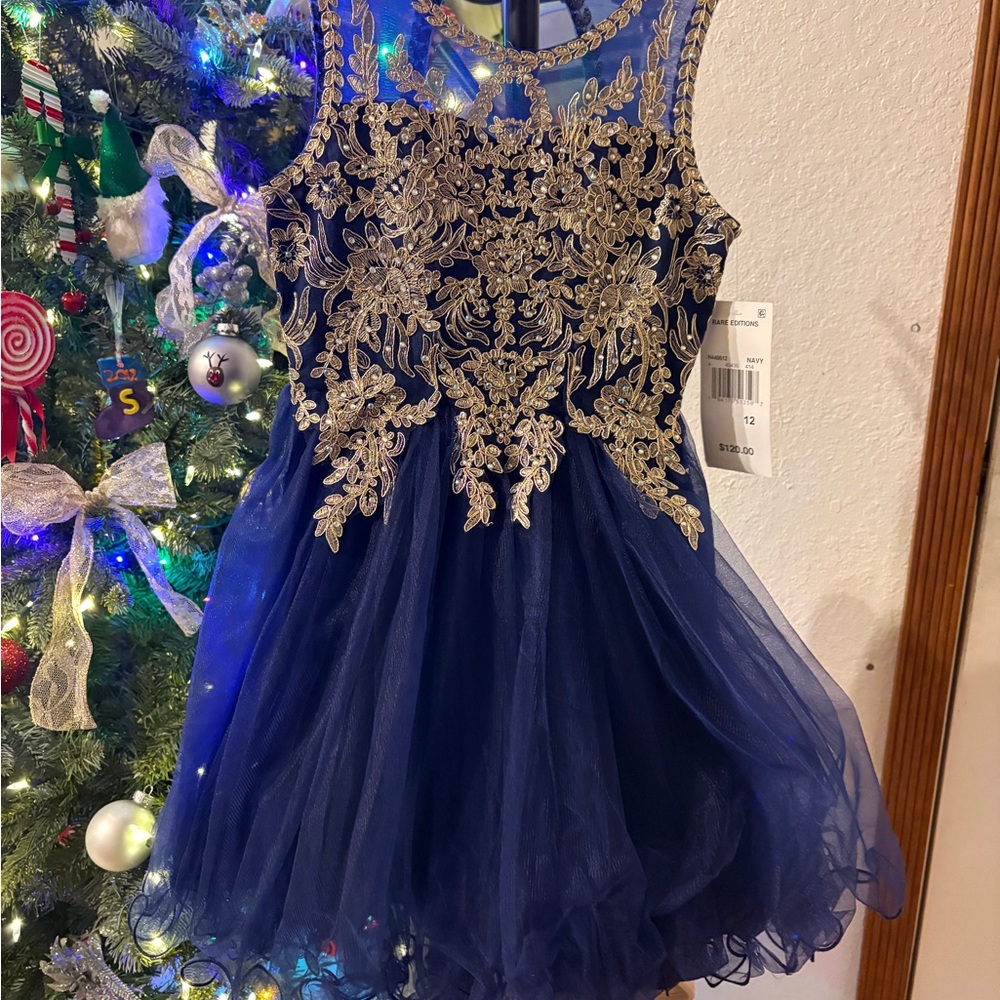 Elegant Blue and Gold Embroidered Dress